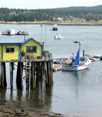 Dock and boats
