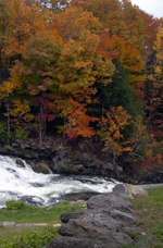 Photo: waterfall and foliage